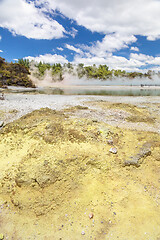 Image showing geothermal activity at Rotorua in New Zealand