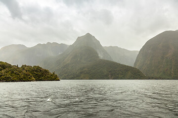 Image showing Doubtful Sound Fiordland National Park New Zealand