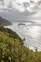 Image showing rough coast at New Zealand south