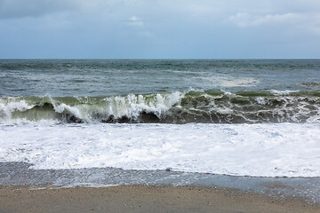 Image showing sand beach south west New Zealand