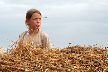 Image showing After harvest