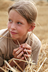 Image showing After harvest