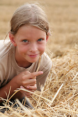 Image showing After harvest