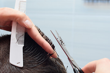 Image showing Hairdresser straightens hair on the head with scissors and comb