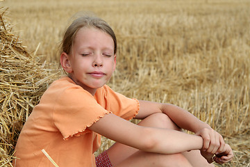 Image showing After harvest