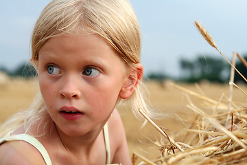 Image showing After harvest