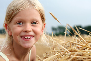 Image showing After harvest