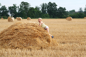 Image showing After harvest