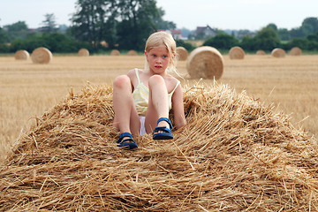 Image showing After harvest