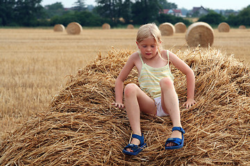 Image showing After harvest