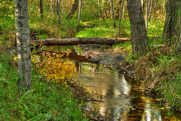 Image showing Creek