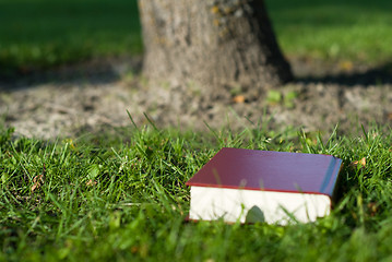 Image showing Holy Bible