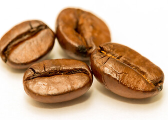 Image showing Coffee Beans Fresh Shows Hot Drink And Brown 