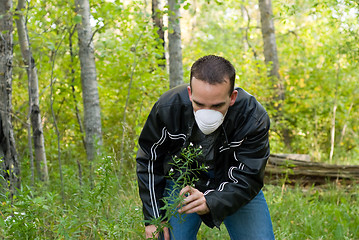 Image showing Pollution