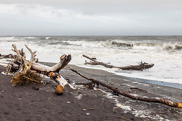 Image showing jade beach Hokitika, New Zealand