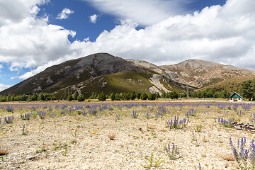 Image showing Landscape scenery in south New Zealand