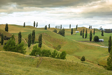 Image showing typical rural landscape in New Zealand