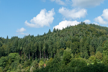 Image showing forest hill in south germany