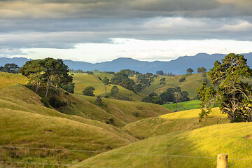 Image showing typical rural landscape in New Zealand