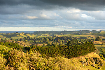 Image showing typical rural landscape in New Zealand