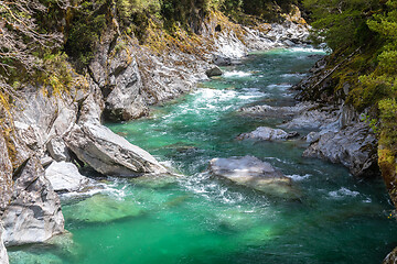 Image showing Haast River Landsborough Valley New Zealand