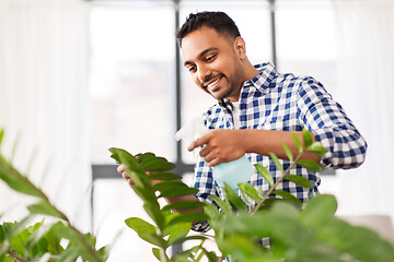 Image showing indian man spraying houseplant with water at home