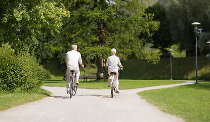 Image showing senior couple riding bicycles at summer park