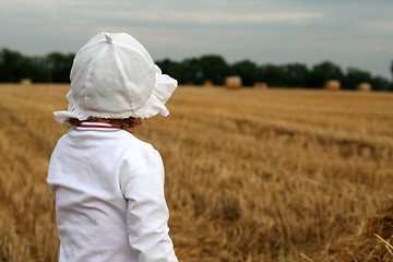 Image showing After harvest