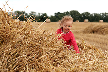 Image showing After harvest