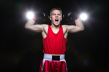 Image showing Young boxer in red form