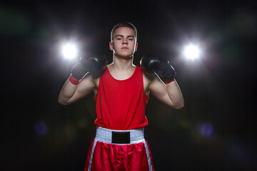 Image showing Young boxer in red form