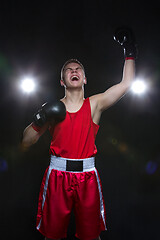 Image showing Young boxer in red form