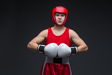 Image showing Young boxer winner