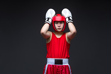 Image showing Young boxer in red form