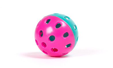 Image showing Cat colorful plastic toy ball isolated