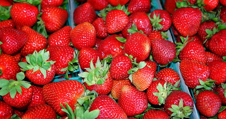 Image showing Strawberries