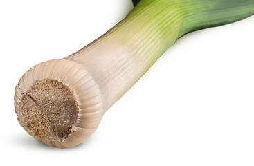 Image showing In front fresh green leek closeup