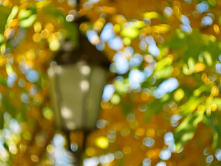 Image showing Blurry bokeh artwork with lantern in green and yellow maple autu