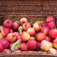 Image showing Red apples in a wicker wooden basket in autumn