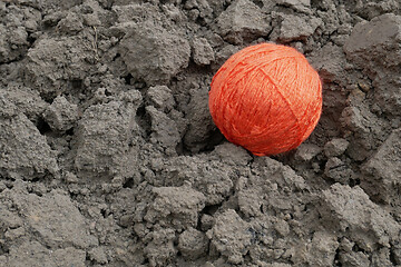 Image showing Large woolen yarn of orange threads on arable land