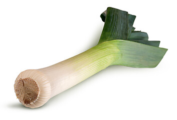 Image showing Fresh green leek in perspective