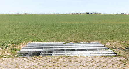 Image showing Cattle grid in ground