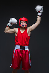 Image showing Young boxer winner