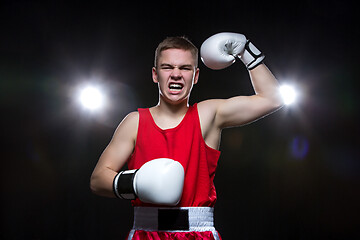 Image showing Young boxer in red form