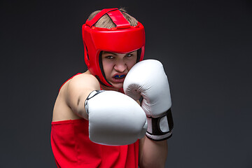 Image showing Young boxer in red form