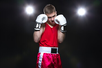 Image showing Young boxer in red form