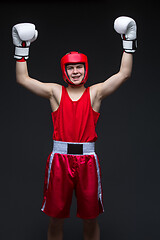 Image showing Young boxer winner