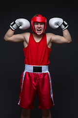 Image showing Young boxer winner