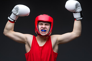 Image showing Young boxer winner