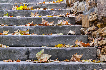 Image showing Stairs with Autumn Leaves